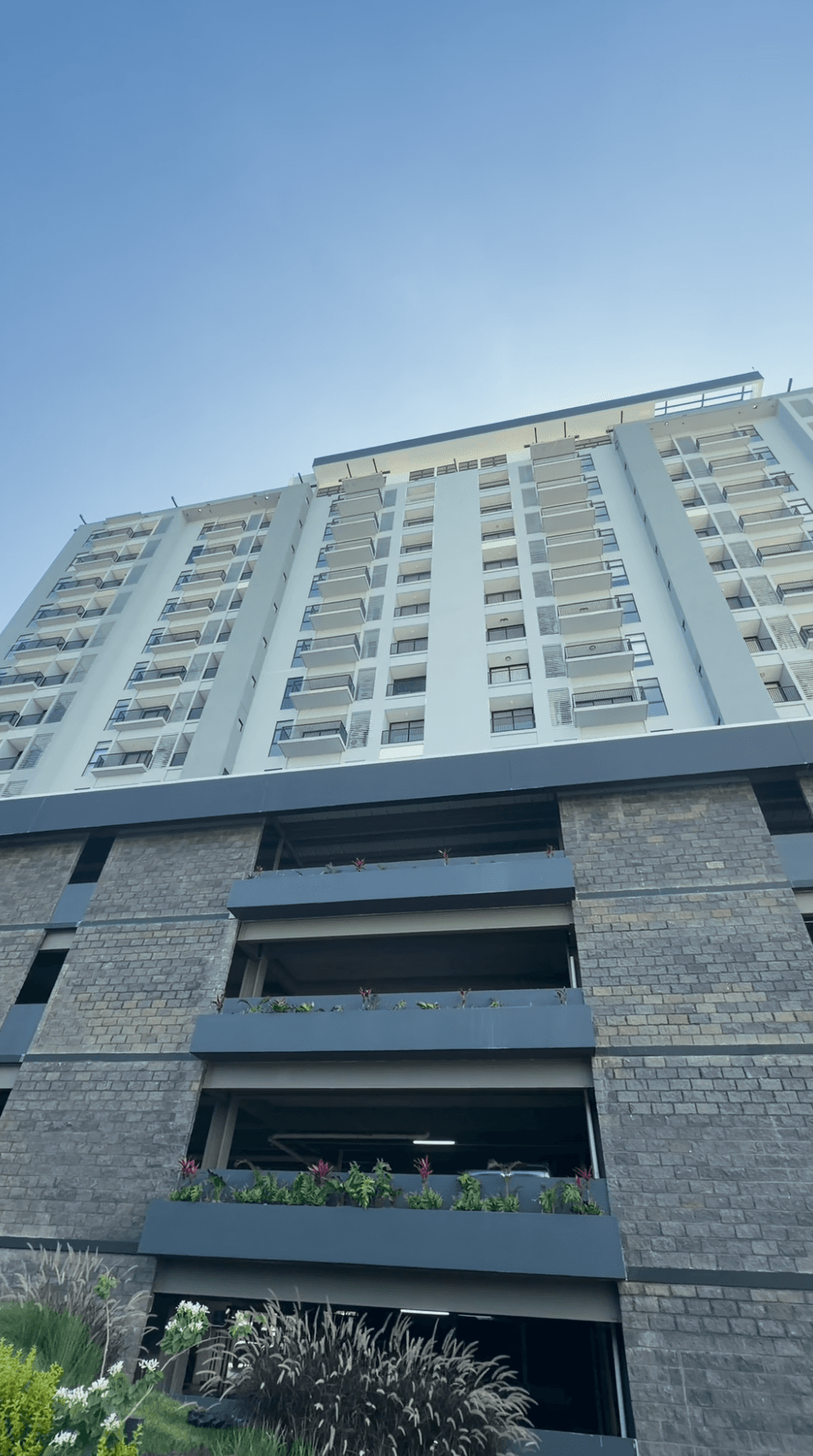 Apartamento a Estrenar en Renta – Alturas del Bosque